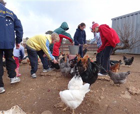 Bathurst Farm Experience - Accommodation Fremantle 2