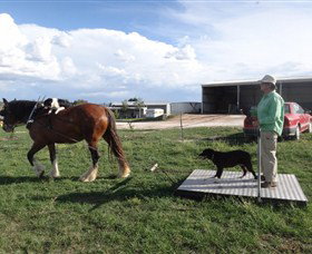Bathurst Farm Experience - Accommodation Fremantle 7
