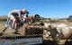 Bathurst Farm Experience - thumb 5