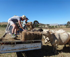 Bathurst Farm Experience - Accommodation Fremantle 5