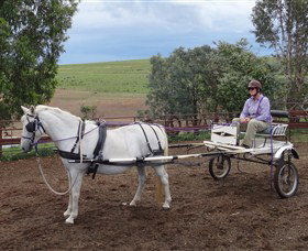 Bathurst Farm Experience - Accommodation Fremantle 8