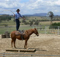 Boggy Creek Shows - Accommodation Fremantle
