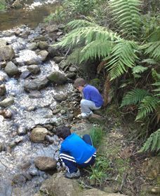 Shelley Forest Camp - Accommodation Fremantle 2