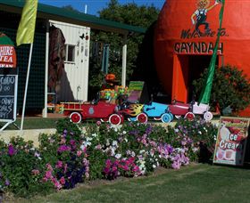 Gayndahs Big Orange - Accommodation Fremantle 1