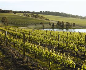 Yabby Lake Vineyard & Cellar Door - Accommodation Fremantle 7