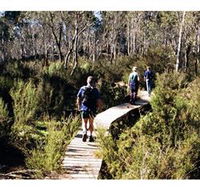 Hume and Hovell Walking Track - Henry Angel Trackhead - Accommodation Fremantle