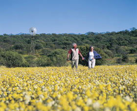 Koolanooka Springs - Accommodation Fremantle 0
