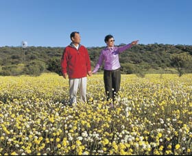 Koolanooka Springs - Accommodation Fremantle 1