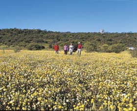 Koolanooka Springs - Accommodation Fremantle 2