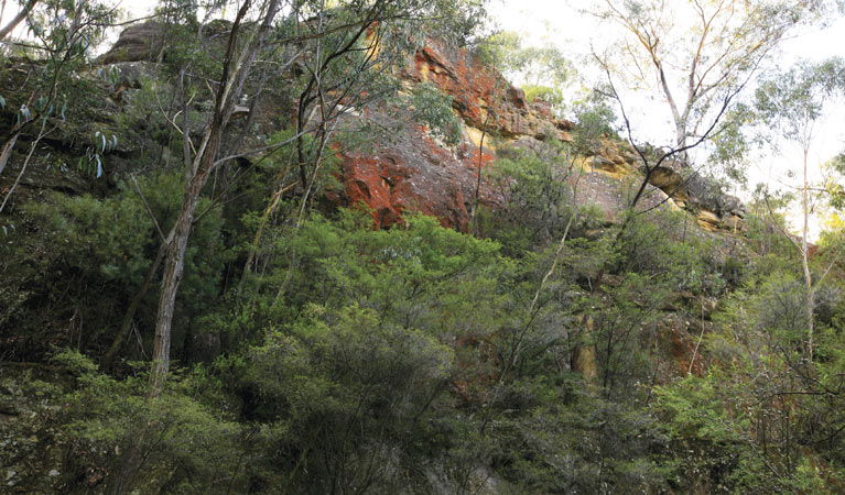 State Mine Gully NSW Accommodation Fremantle