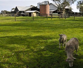 Warrook Farm - Accommodation Fremantle 4