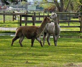 Warrook Farm - Accommodation Fremantle 6