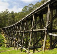 Noojee Trestle Bridge - Accommodation Fremantle