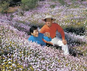 Canna Reserve - Accommodation Fremantle 3