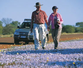 Canna Reserve - Accommodation Fremantle 2