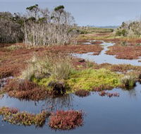 French Island National Park - Accommodation Fremantle