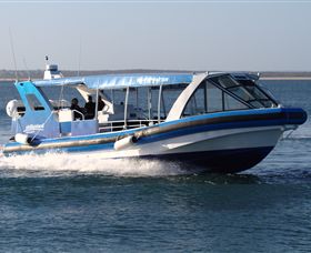 Phillip Island Nature Parks - Accommodation Fremantle 2