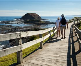 Phillip Island Nature Parks - Accommodation Fremantle 3