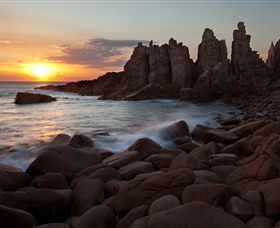 Phillip Island Nature Parks - Accommodation Fremantle 6