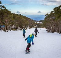 Mt Baw Baw Alpine Resort - Accommodation Fremantle