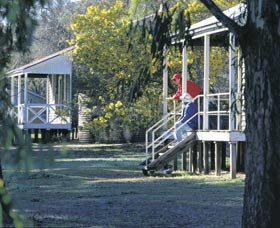 Dryandra Woodland - Accommodation Fremantle 0