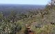 Mount Dale Walk Trail - thumb 0