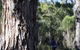 Mount Dale Walk Trail - thumb 1