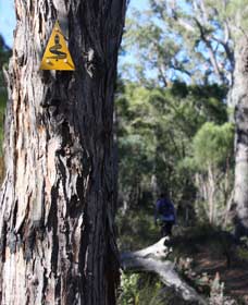 Mount Dale Walk Trail - Accommodation Fremantle 1
