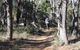 Mount Dale Walk Trail - thumb 2