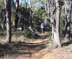 Mount Dale Walk Trail - Accommodation Fremantle 2