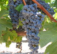 Joshuas Fault Wine - Accommodation Fremantle
