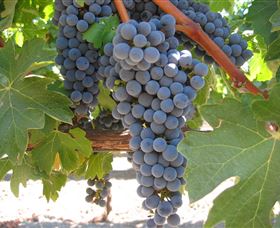 Joshuas Fault Wine - Accommodation Fremantle 0