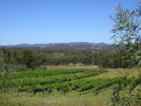 Pyramids Road Wines - Accommodation Fremantle 3