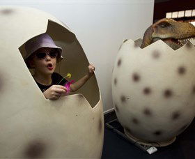 National Dinosaur Museum - Accommodation Fremantle 2