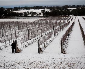 Savina Lane Premum Wines - Accommodation Fremantle 2