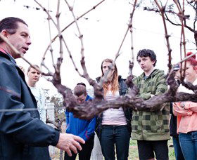 Varias Restaurant And Conference Centre Incorporating Banca Ridge Winery Cellar Door - Accommodation Fremantle 3