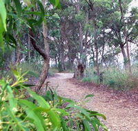 Mount Mutton Walking Trail - Accommodation Fremantle