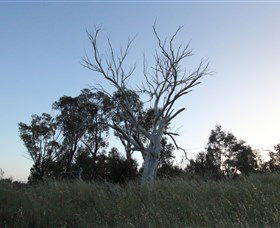 Cooleman Ridge - Accommodation Fremantle 1