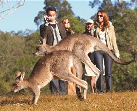 Boutique Tours Australia - Accommodation Fremantle 2