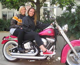 Wild Ride Harley And Motorcycle Tours - Accommodation Fremantle 0
