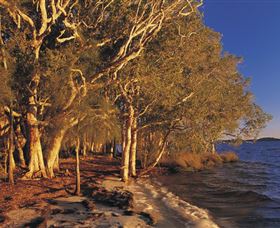 East Coast Adventure Bus - Accommodation Fremantle 2