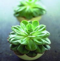 Crossroads Homemaker Centre - Accommodation Fremantle 1