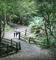 Blackbutt Reserve - Accommodation Fremantle 3