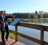 Hunter Wetlands Centre Australia - Accommodation Fremantle