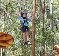 TreeTops Newcastle - Accommodation Fremantle