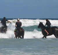 Pegasus Park Equestrian Centre - Accommodation Fremantle