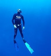 Byron Bay Dive Centre - Accommodation Fremantle 1