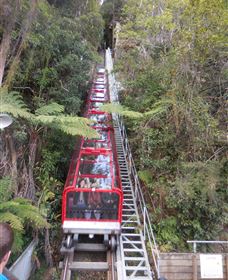 Country Charmâ„¢ Discovery Tours - Accommodation Fremantle 6