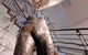 Mosman Art Gallery - thumb 1