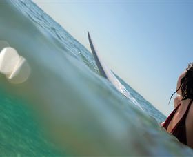 Manly Surf Guide - Accommodation Fremantle 1
